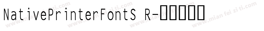 NativePrinterFontS R字体转换